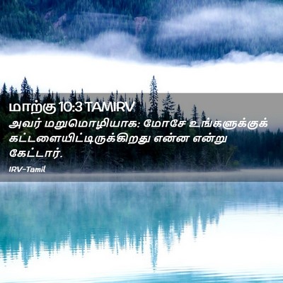 Picture 02 - மாற்கு 10:3 TAMIRV - அவர் மறுமொழியாக: - Bible Verse Picture