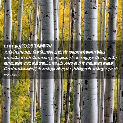 Picture 02 - மாற்கு 10:35 TAMIRV - அப்பொழுது - Bible Verse Picture