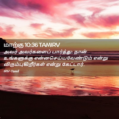 Picture 02 - மாற்கு 10:36 TAMIRV - அவர் அவர்களைப் - Bible Verse Picture
