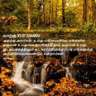 Picture 02 - மாற்கு 10:37 TAMIRV - அதற்கு அவர்கள்: - Bible Verse Picture