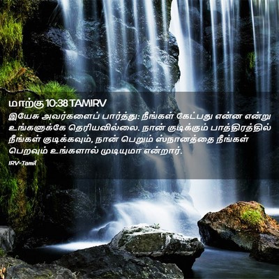 Picture 02 - மாற்கு 10:38 TAMIRV - இயேசு அவர்களைப் - Bible Verse Picture