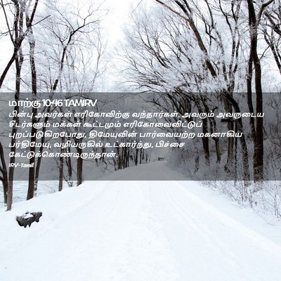 Picture 02 - மாற்கு 10:46 TAMIRV - பின்பு அவர்கள் - Bible Verse Picture