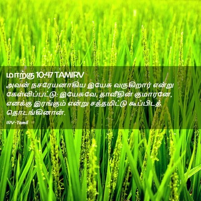 Picture 02 - மாற்கு 10:47 TAMIRV - அவன் நசரேயனாகிய - Bible Verse Picture