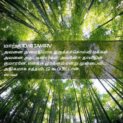 Picture 02 - மாற்கு 10:48 TAMIRV - அவனை அமைதியாக - Bible Verse Picture