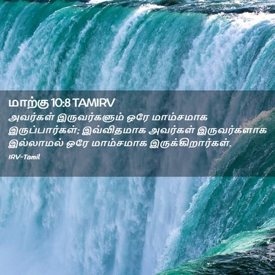 Picture 02 - மாற்கு 10:8 TAMIRV - அவர்கள் - Bible Verse Picture