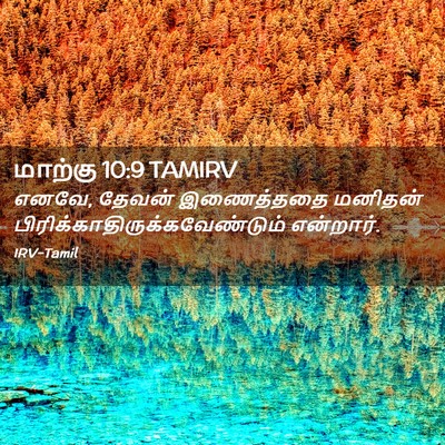 Picture 02 - மாற்கு 10:9 TAMIRV - எனவே, தேவன் - Bible Verse Picture