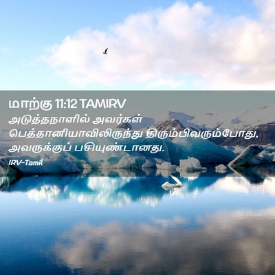Picture 02 - மாற்கு 11:12 TAMIRV - அடுத்தநாளில் - Bible Verse Picture