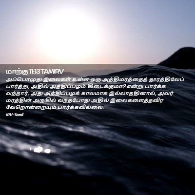 Picture 02 - மாற்கு 11:13 TAMIRV - அப்பொழுது இலைகள் - Bible Verse Picture