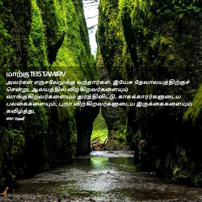 Picture 02 - மாற்கு 11:15 TAMIRV - அவர்கள் - Bible Verse Picture