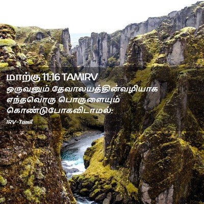 Picture 02 - மாற்கு 11:16 TAMIRV - ஒருவனும் - Bible Verse Picture