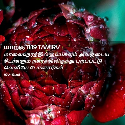 Picture 02 - மாற்கு 11:19 TAMIRV - மாலைநேரத்தில் - Bible Verse Picture