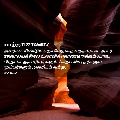 Picture 02 - மாற்கு 11:27 TAMIRV - அவர்கள் மீண்டும் - Bible Verse Picture