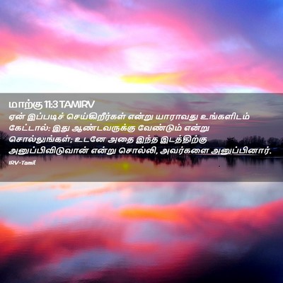 Picture 02 - மாற்கு 11:3 TAMIRV - ஏன் இப்படிச் - Bible Verse Picture