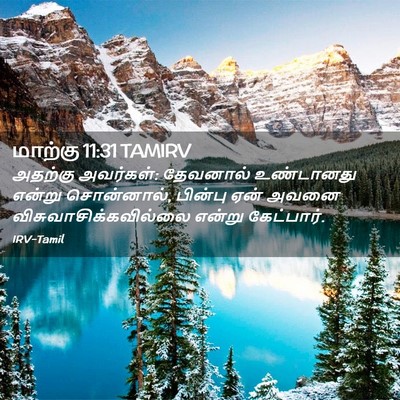 Picture 02 - மாற்கு 11:31 TAMIRV - அதற்கு அவர்கள்: - Bible Verse Picture