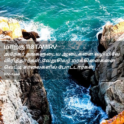 Picture 02 - மாற்கு 11:8 TAMIRV - அநேகர் தங்களுடைய - Bible Verse Picture