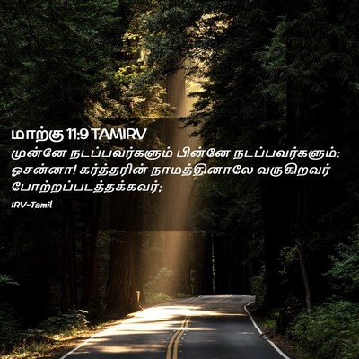 Picture 02 - மாற்கு 11:9 TAMIRV - முன்னே - Bible Verse Picture