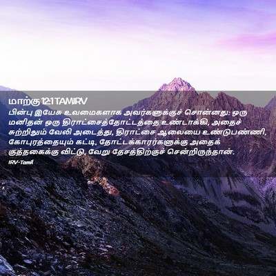 Picture 02 - மாற்கு 12:1 TAMIRV - பின்பு இயேசு - Bible Verse Picture