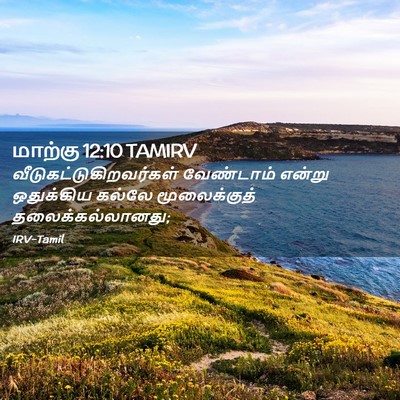 Picture 02 - மாற்கு 12:10 TAMIRV -  - Bible Verse Picture