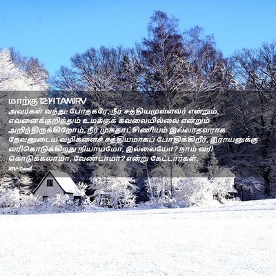 Picture 02 - மாற்கு 12:14 TAMIRV - அவர்கள் வந்து: - Bible Verse Picture