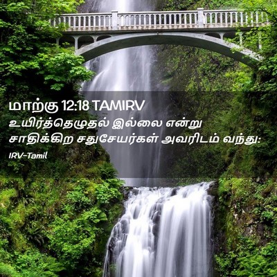 Picture 02 - மாற்கு 12:18 TAMIRV - உயிர்த்தெழுதல் - Bible Verse Picture