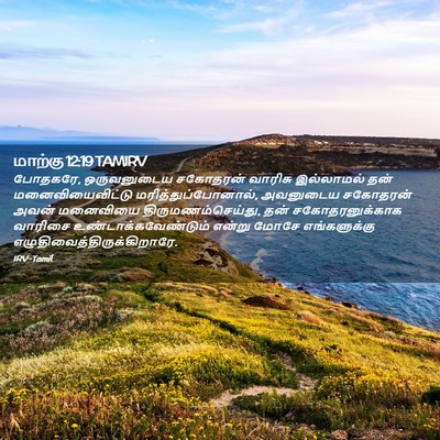 Picture 02 - மாற்கு 12:19 TAMIRV - போதகரே, ஒருவனுடைய - Bible Verse Picture