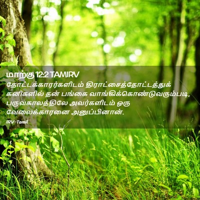 Picture 02 - மாற்கு 12:2 TAMIRV -  - Bible Verse Picture