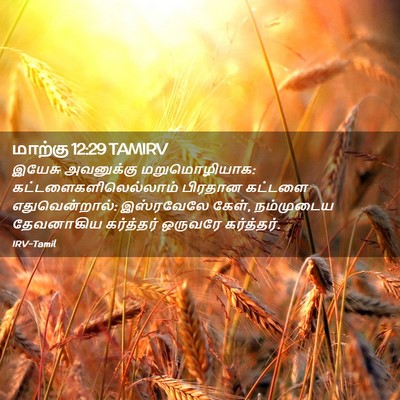 Picture 02 - மாற்கு 12:29 TAMIRV - இயேசு அவனுக்கு - Bible Verse Picture