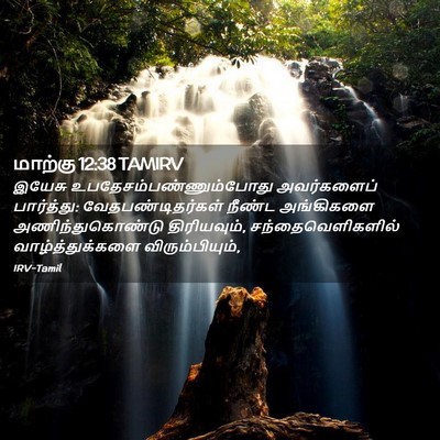 Picture 02 - மாற்கு 12:38 TAMIRV - இயேசு - Bible Verse Picture