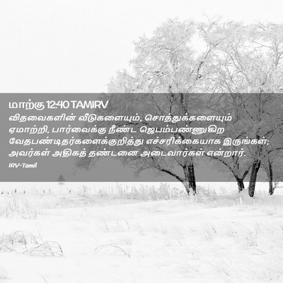 Picture 02 - மாற்கு 12:40 TAMIRV - விதவைகளின் - Bible Verse Picture