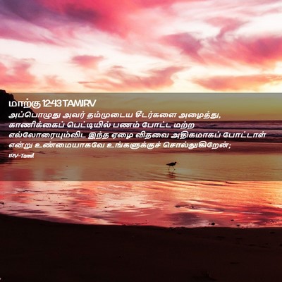 Picture 02 - மாற்கு 12:43 TAMIRV - அப்பொழுது அவர் - Bible Verse Picture