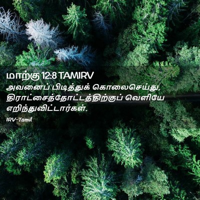 Picture 02 - மாற்கு 12:8 TAMIRV - அவனைப் பிடித்துக் - Bible Verse Picture