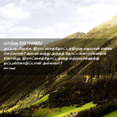 Picture 02 - மாற்கு 12:9 TAMIRV - அப்படியிருக்க, - Bible Verse Picture