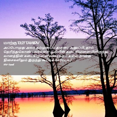 Picture 02 - மாற்கு 13:27 TAMIRV - அப்பொழுது அவர் - Bible Verse Picture