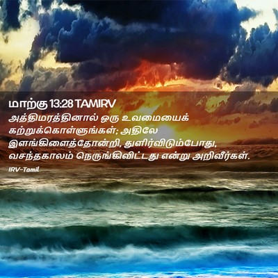Picture 02 - மாற்கு 13:28 TAMIRV - அத்திமரத்தினால் - Bible Verse Picture