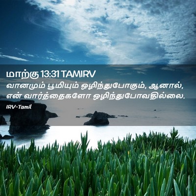 Picture 02 - மாற்கு 13:31 TAMIRV - வானமும் பூமியும் - Bible Verse Picture