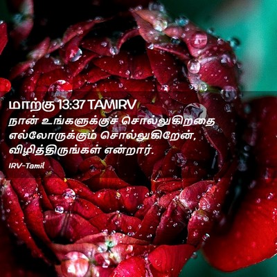 Picture 02 - மாற்கு 13:37 TAMIRV - நான் உங்களுக்குச் - Bible Verse Picture