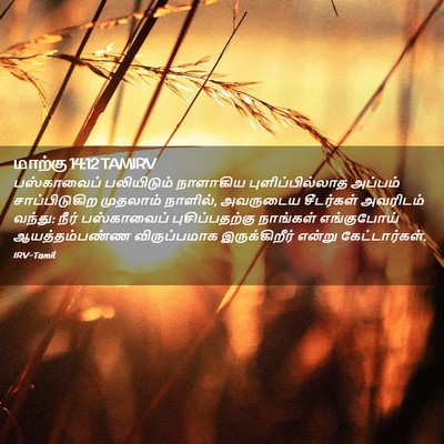 Picture 02 - மாற்கு 14:12 TAMIRV - பஸ்காவைப் - Bible Verse Picture