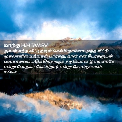 Picture 02 - மாற்கு 14:14 TAMIRV - அவன் எந்த - Bible Verse Picture