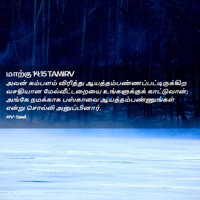 Picture 02 - மாற்கு 14:15 TAMIRV - அவன் கம்பளம் - Bible Verse Picture