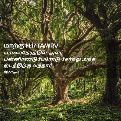 Picture 02 - மாற்கு 14:17 TAMIRV - மாலைநேரத்தில், - Bible Verse Picture