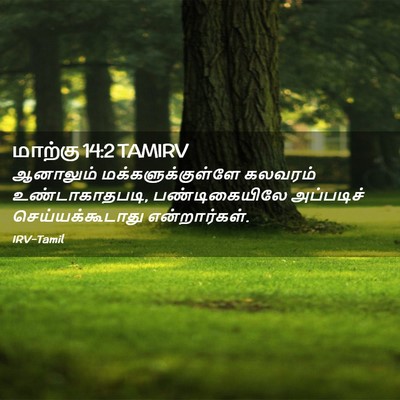 Picture 02 - மாற்கு 14:2 TAMIRV - ஆனாலும் - Bible Verse Picture