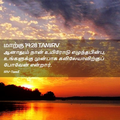 Picture 02 - மாற்கு 14:28 TAMIRV - ஆனாலும் நான் - Bible Verse Picture