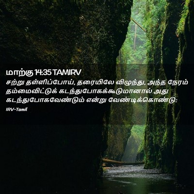 Picture 02 - மாற்கு 14:35 TAMIRV - சற்று - Bible Verse Picture