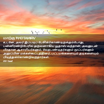 Picture 02 - மாற்கு 14:43 TAMIRV - உடனே, அவர் - Bible Verse Picture