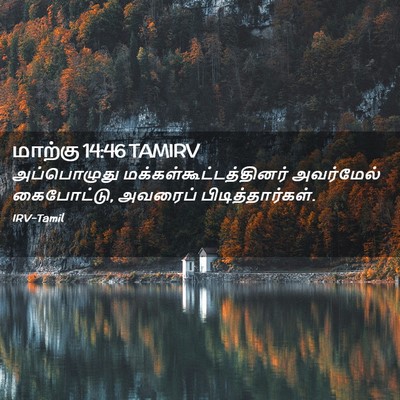 Picture 02 - மாற்கு 14:46 TAMIRV - அப்பொழுது - Bible Verse Picture