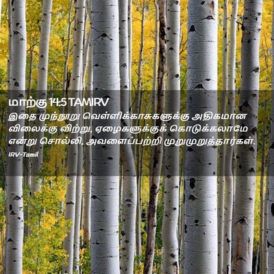 Picture 02 - மாற்கு 14:5 TAMIRV - இதை முந்நூறு - Bible Verse Picture