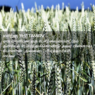 Picture 02 - மாற்கு 14:51 TAMIRV - ஒரு வாலிபன் ஒரு - Bible Verse Picture