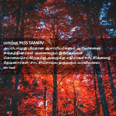 Picture 02 - மாற்கு 14:55 TAMIRV - அப்பொழுது பிரதான - Bible Verse Picture