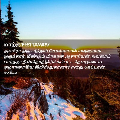 Picture 02 - மாற்கு 14:61 TAMIRV - அவரோ ஒரு பதிலும் - Bible Verse Picture