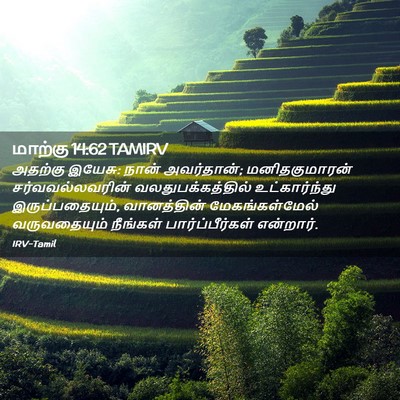 Picture 02 - மாற்கு 14:62 TAMIRV - அதற்கு இயேசு: நான் - Bible Verse Picture